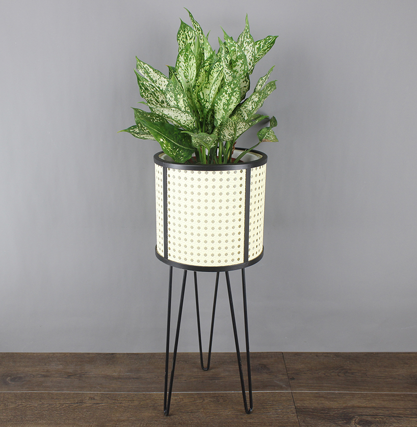 Green Plant Rack - KD9024