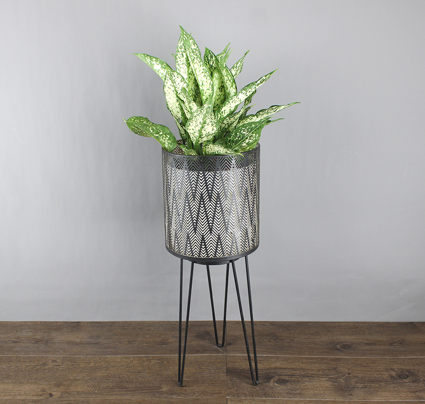 Green Plant Rack - KD9023